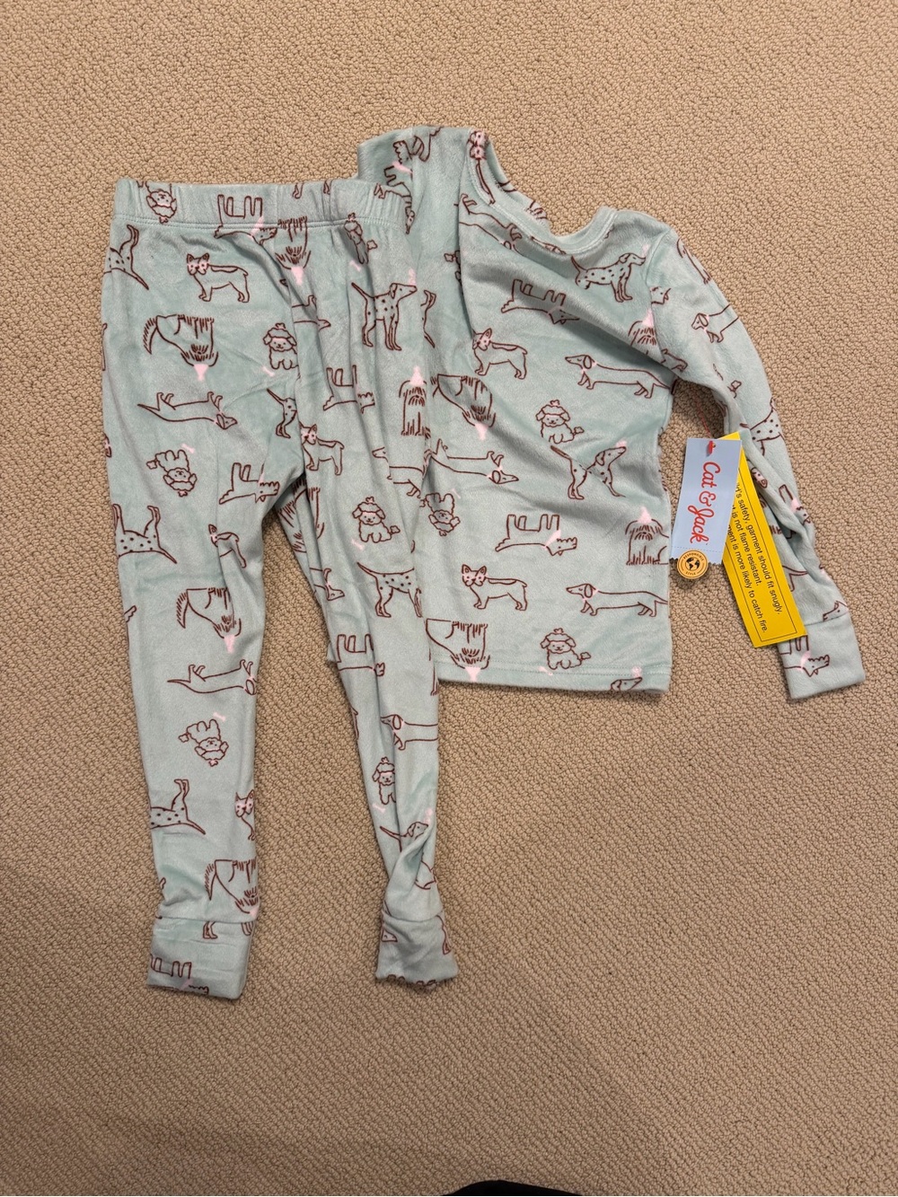Cat & Jack Mint Green Dog Print Pajama Set